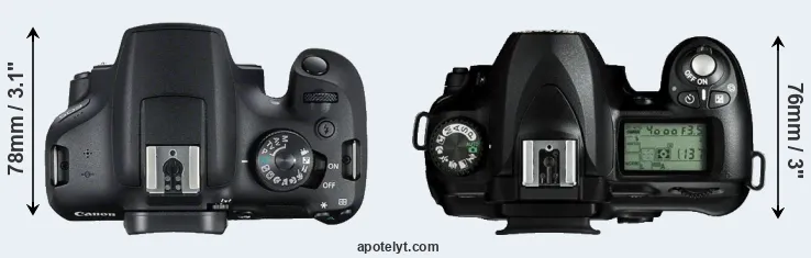 Compare T7 versus D50 top