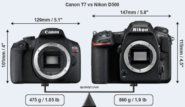 Size Canon T7 vs Nikon D500