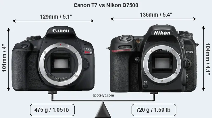 Size Canon T7 vs Nikon D7500