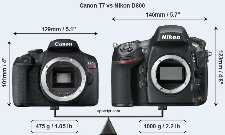 Size Canon T7 vs Nikon D800