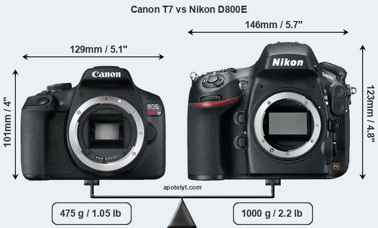 Size Canon T7 vs Nikon D800E
