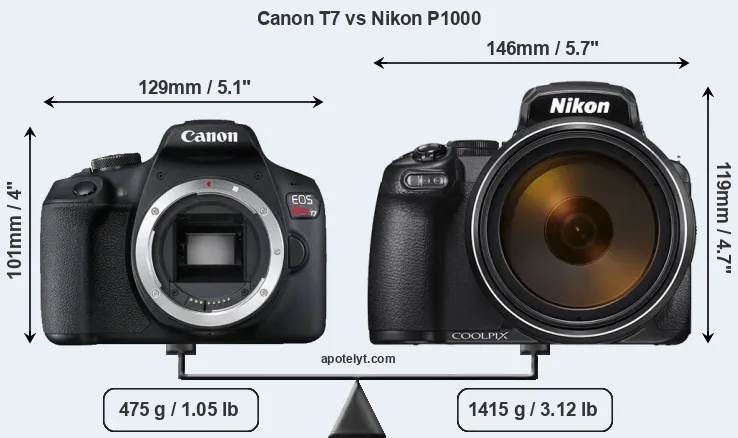 Size Canon T7 vs Nikon P1000
