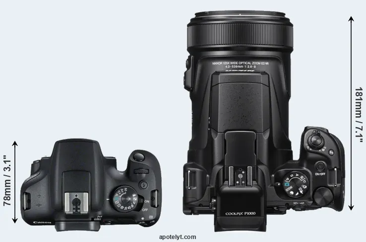 Compare T7 versus P1000 top