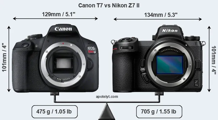 Size Canon T7 vs Nikon Z7 II