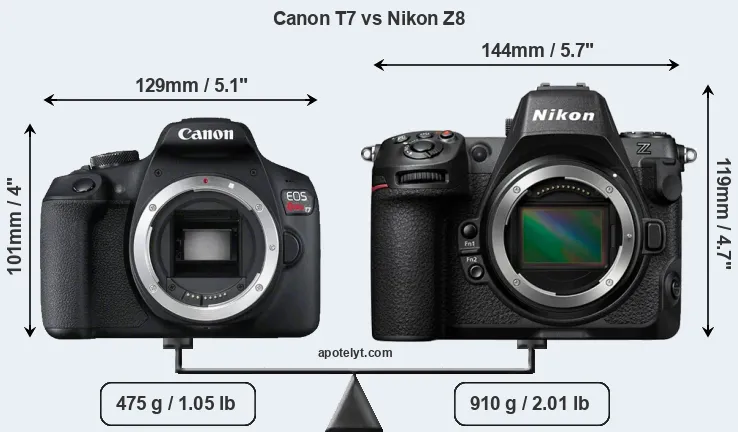 Size Canon T7 vs Nikon Z8