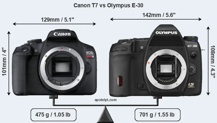 Size Canon T7 vs Olympus E-30