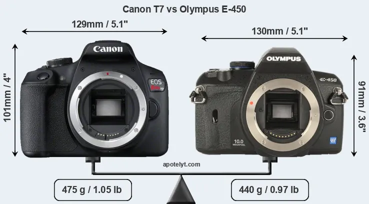 Size Canon T7 vs Olympus E-450