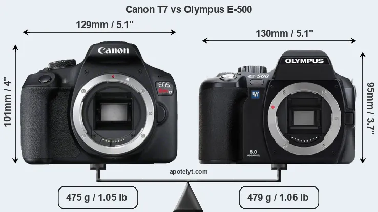 Size Canon T7 vs Olympus E-500