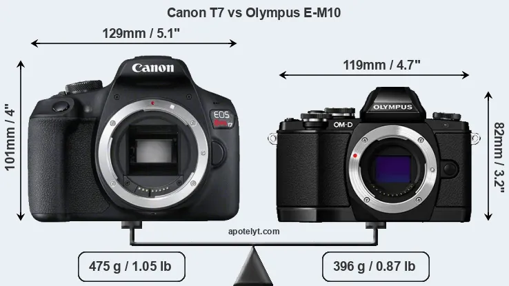 Size Canon T7 vs Olympus E-M10