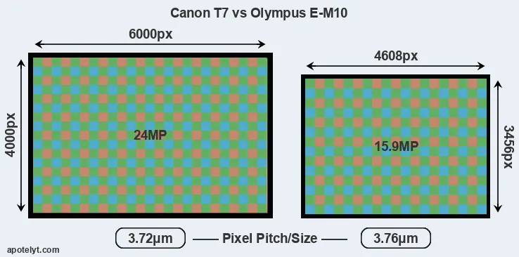 T7 versus E-M10 MP