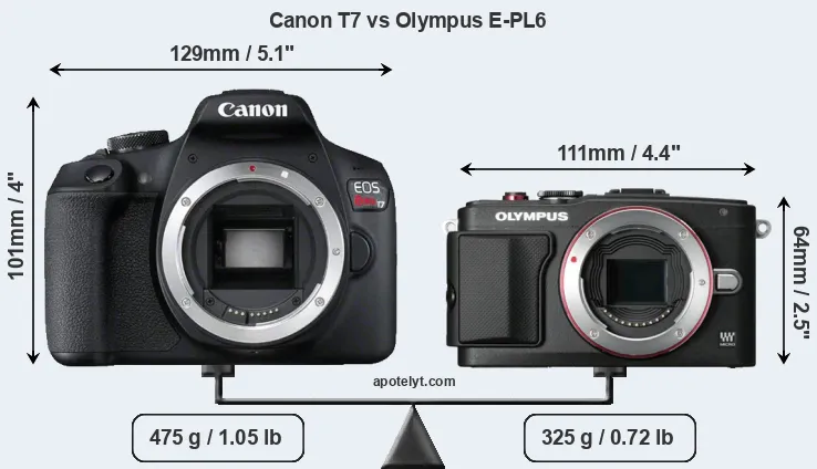 Size Canon T7 vs Olympus E-PL6