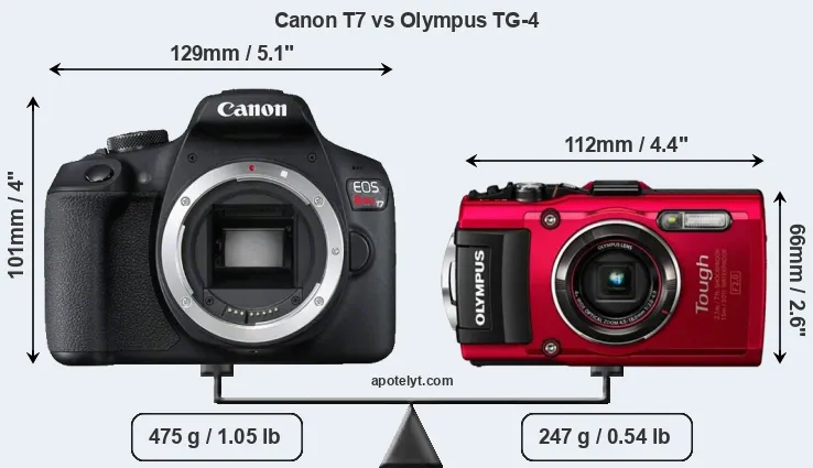 Size Canon T7 vs Olympus TG-4