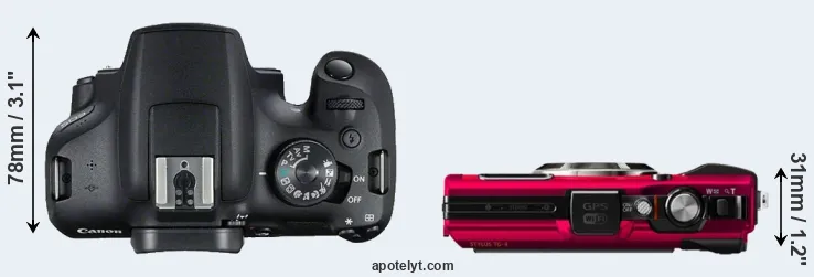 Compare T7 versus TG-4 top