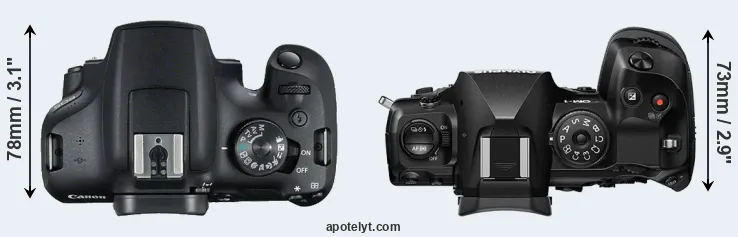 Compare T7 versus OM-1 top