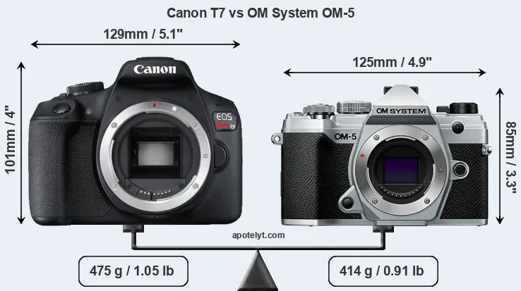 Size Canon T7 vs OM System OM-5