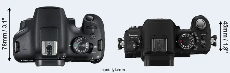 Compare T7 versus G1 top
