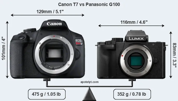 Size Canon T7 vs Panasonic G100