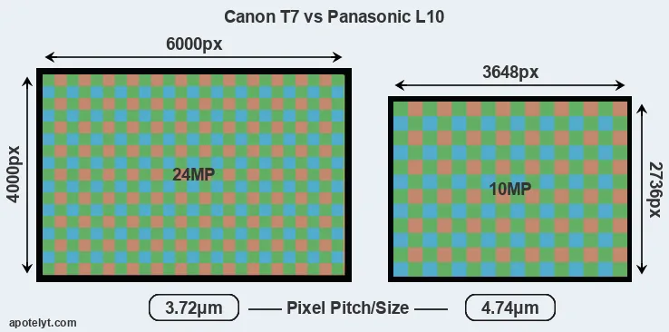 T7 versus L10 MP