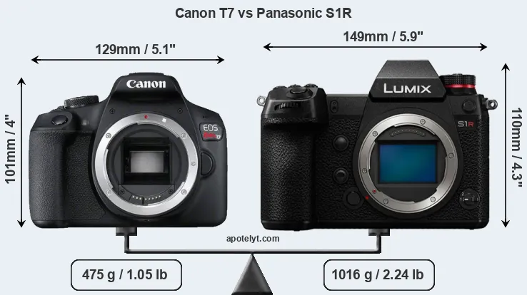 Size Canon T7 vs Panasonic S1R