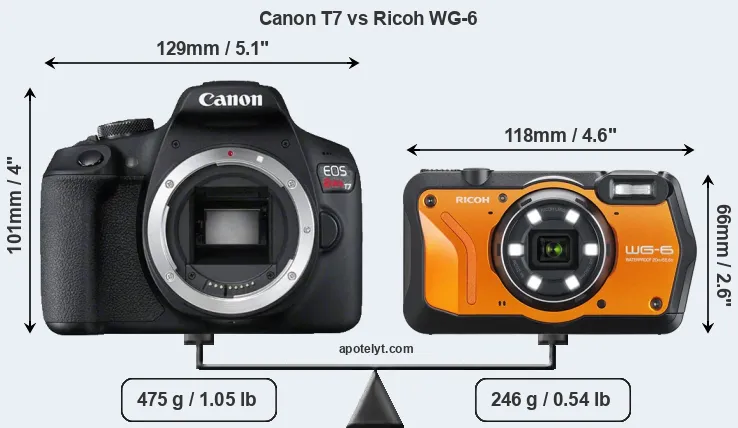 Size Canon T7 vs Ricoh WG-6