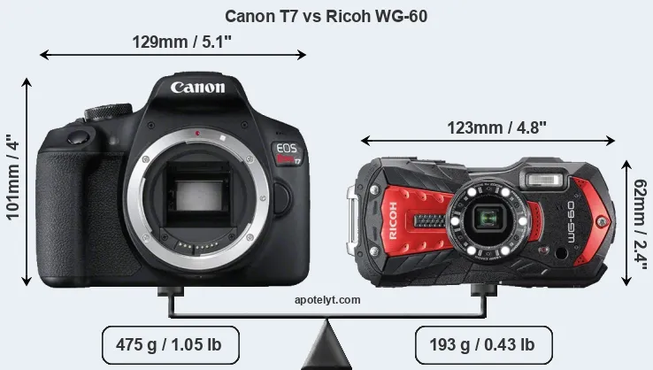 Size Canon T7 vs Ricoh WG-60