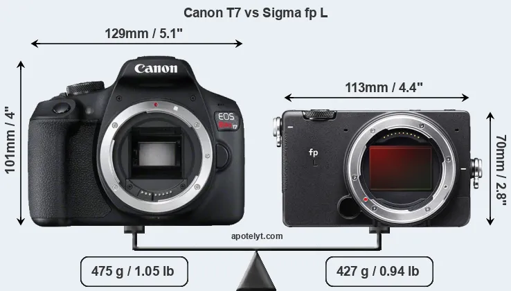 Size Canon T7 vs Sigma fp L
