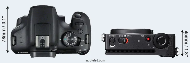 Compare T7 versus fp L top
