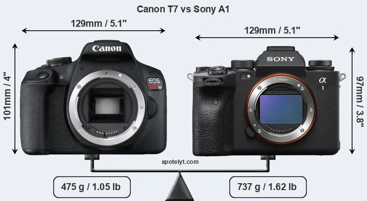 Size Canon T7 vs Sony A1