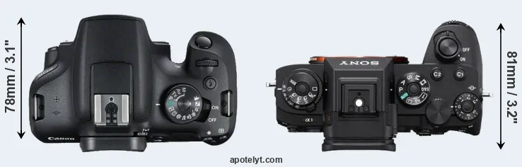 Compare T7 versus A1 top