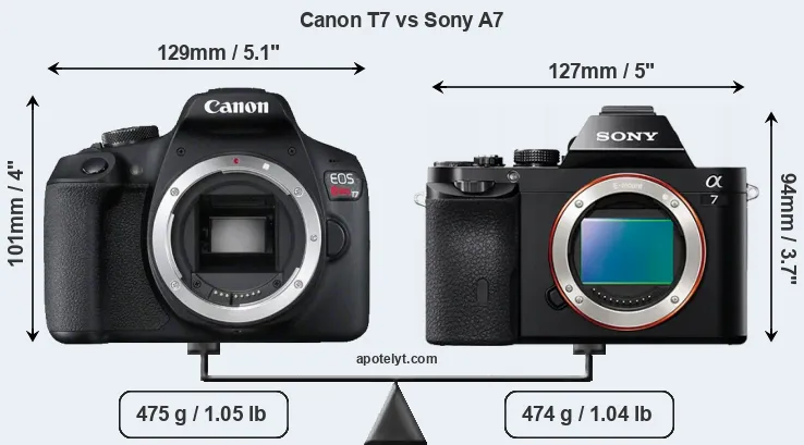 Size Canon T7 vs Sony A7