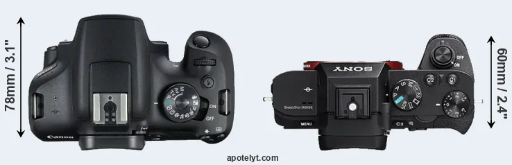 Compare T7 versus A7 II top