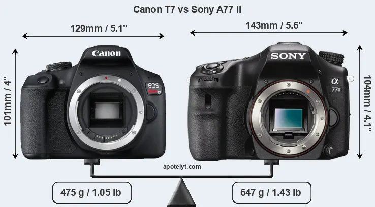 Size Canon T7 vs Sony A77 II