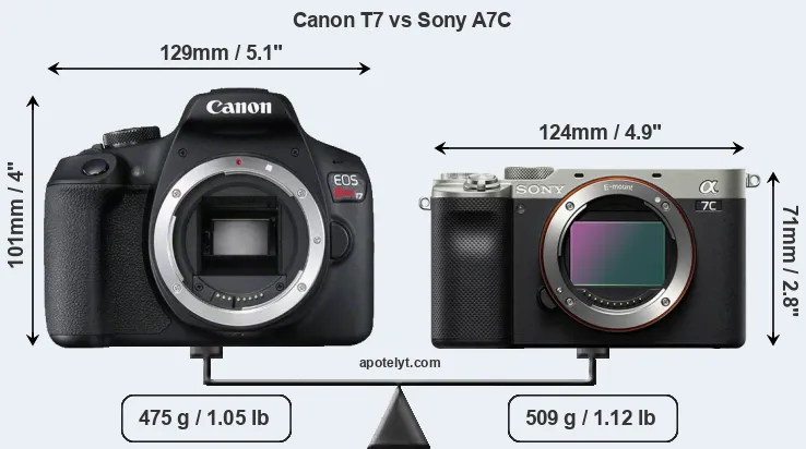 Size Canon T7 vs Sony A7C