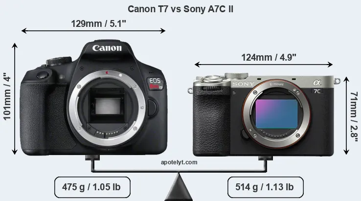 Size Canon T7 vs Sony A7C II