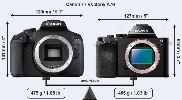 Size Canon T7 vs Sony A7R