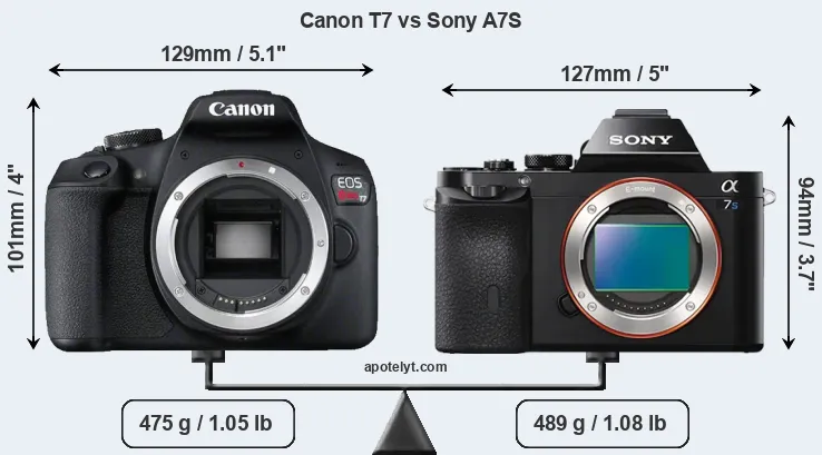 Size Canon T7 vs Sony A7S