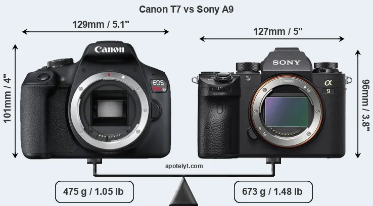 Size Canon T7 vs Sony A9