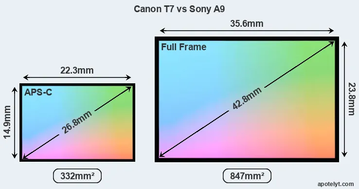 Canon T7 and Sony A9 sensor measures