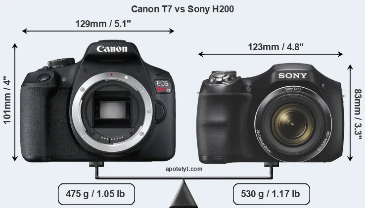 Size Canon T7 vs Sony H200