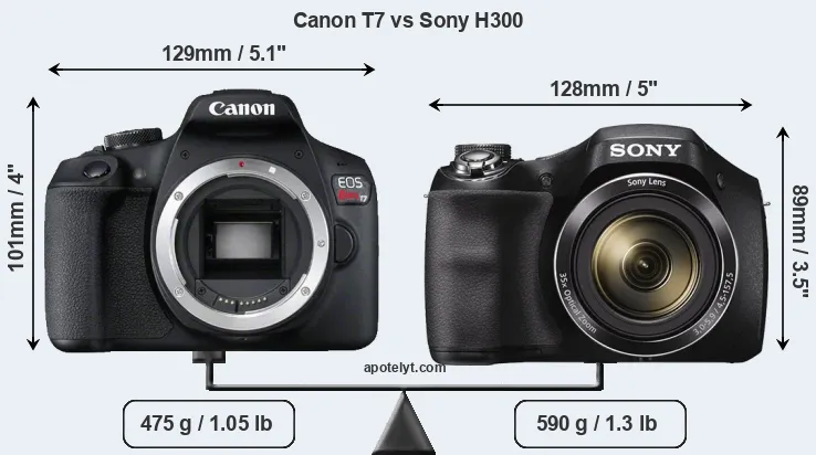 Size Canon T7 vs Sony H300