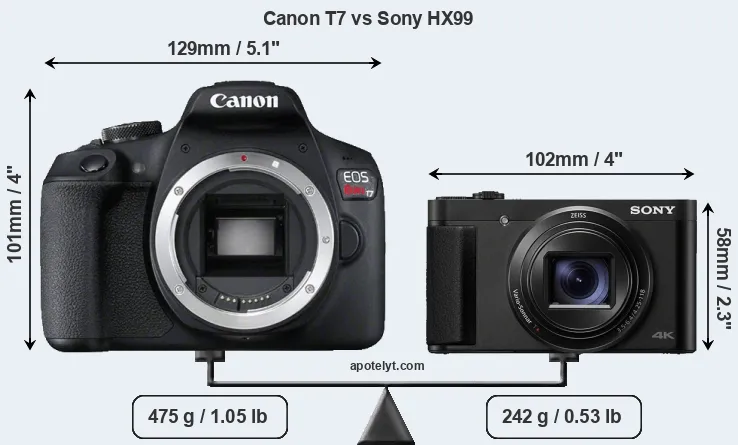 Size Canon T7 vs Sony HX99