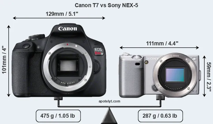 Size Canon T7 vs Sony NEX-5