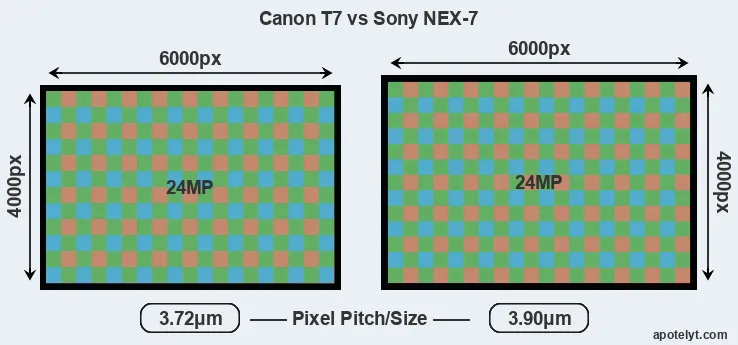 T7 versus NEX-7 MP