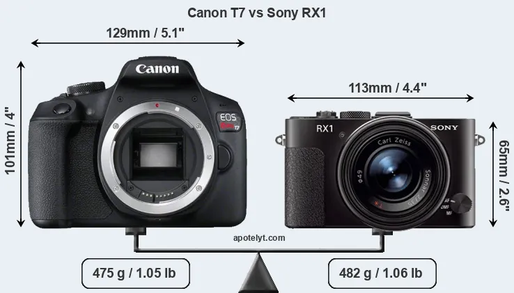 Size Canon T7 vs Sony RX1