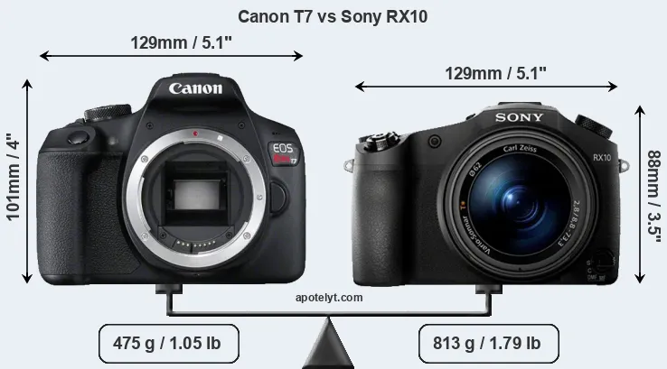 Size Canon T7 vs Sony RX10