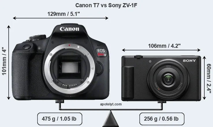 Size Canon T7 vs Sony ZV-1F