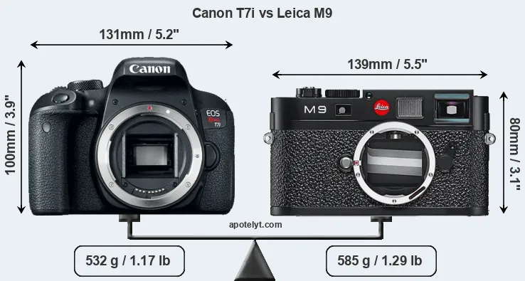 Size Canon T7i vs Leica M9