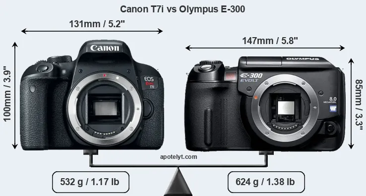 Size Canon T7i vs Olympus E-300