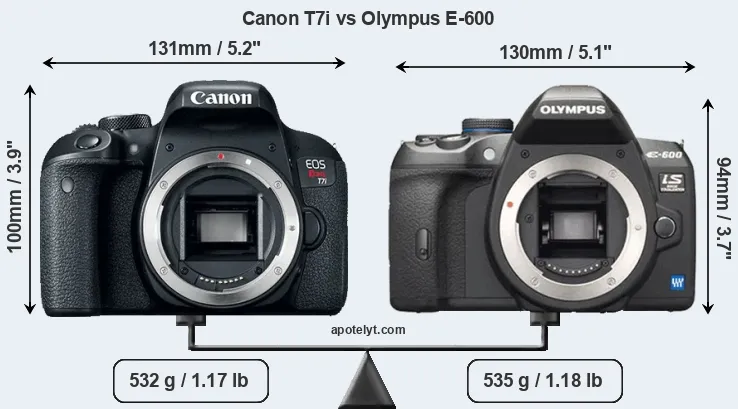 Size Canon T7i vs Olympus E-600