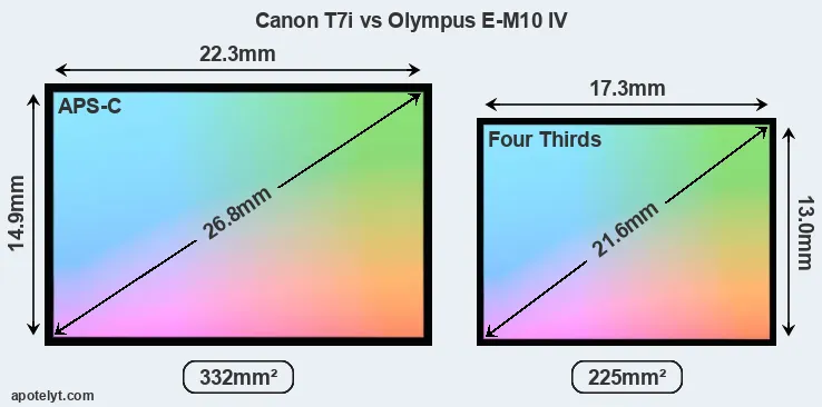 Canon T7i and Olympus E-M10 IV sensor measures